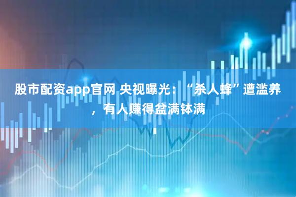 股市配资app官网 央视曝光：“杀人蜂”遭滥养，有人赚得盆满钵满