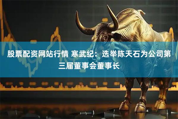 股票配资网站行情 寒武纪：选举陈天石为公司第三届董事会董事长