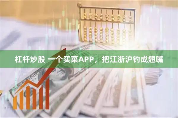 杠杆炒股 一个买菜APP，把江浙沪钓成翘嘴